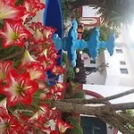 Hotel Semeli - Adults Only 2*