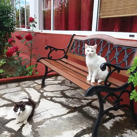 Semeli - Adults Only 2* Ρόδα