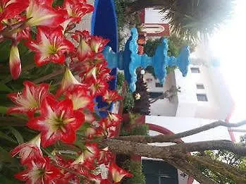 Hotel Semeli - Adults Only 2*